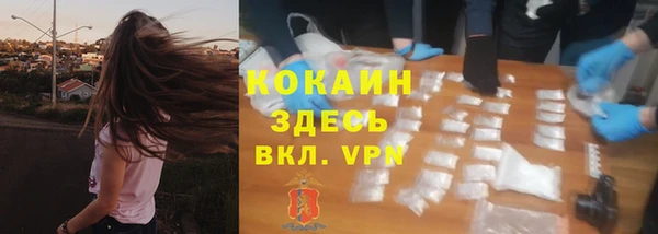 гидра Богданович