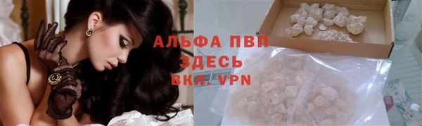 гидра Богданович