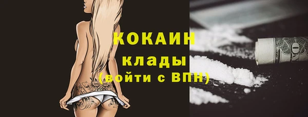 ПСИЛОЦИБИНОВЫЕ ГРИБЫ Белокуриха