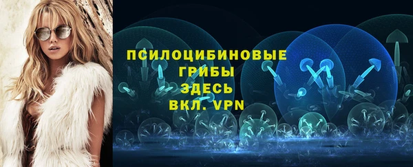 apvp Беломорск