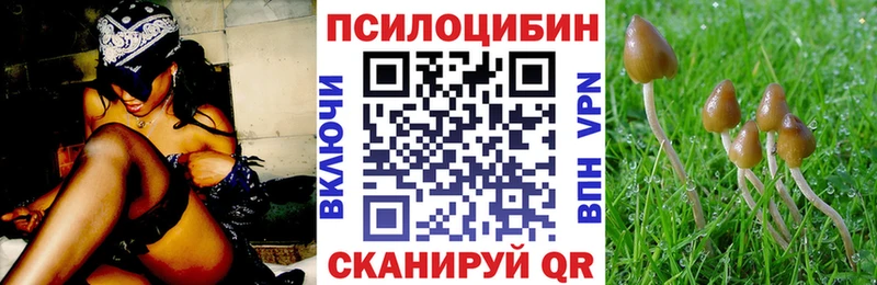 цены Катав-Ивановск мега как зайти Псилоцибиновые грибы Psilocybe