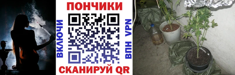 Конопля Ganja Катав-Ивановск